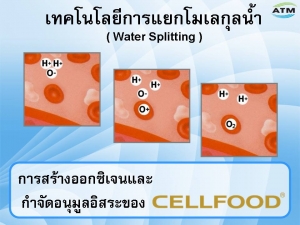 Cellfood ต่อต้านอนุมูลอิสระ