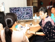 cellfood blood test